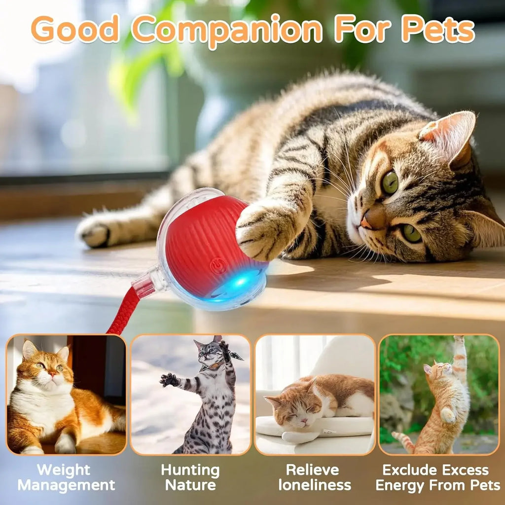 Brinquedo Interativo para Gatos iLMH: Bola Rolante Automática com Cauda Falsa, Recarregável, Brinquedo Elétrico Inteligente para Animais de Estimação, Treinamento de Pets, Imita Rato